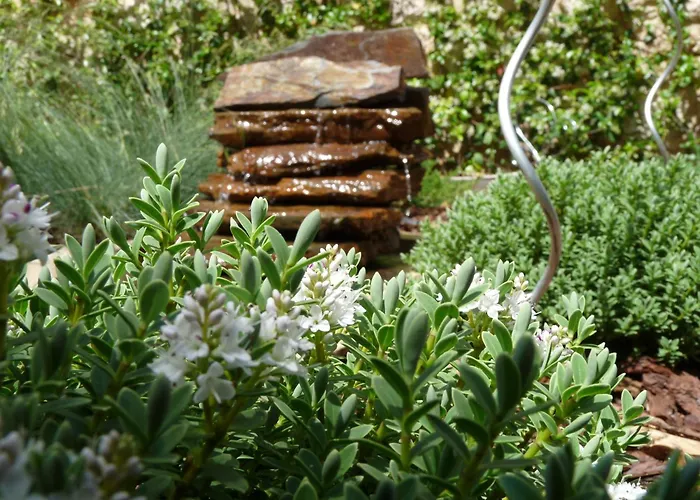 Eco Hotel Boutique & Spa Capitulo Trece - Adults Only